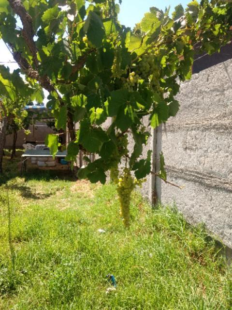 Casa de férias Granja Vip Valle De Elqui *